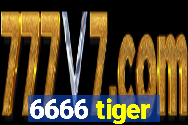 6666 tiger